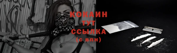 прущие крисы Абаза