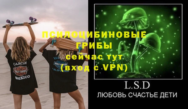 прущие крисы Абаза